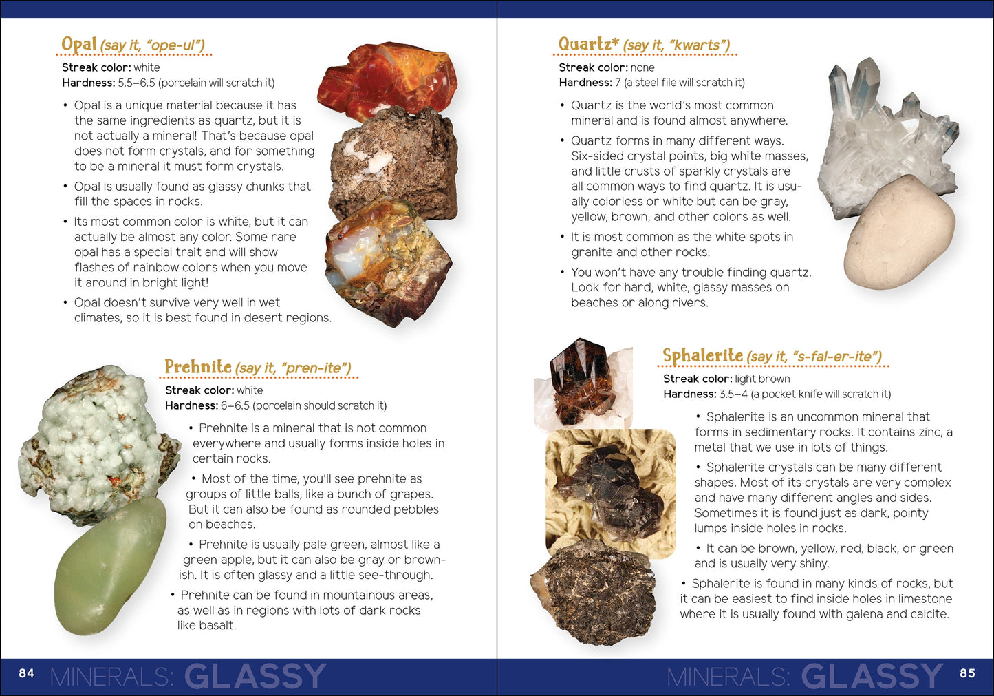 Rock Collecting For Kids Book