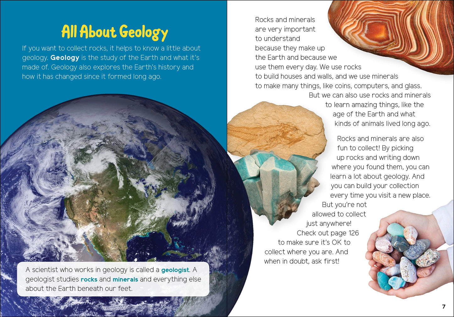 Rock Collecting For Kids Book