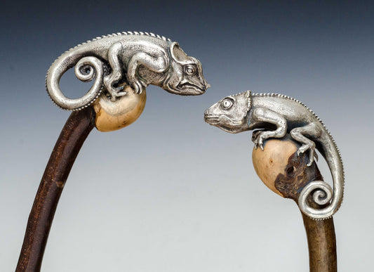 Chameleon Cane