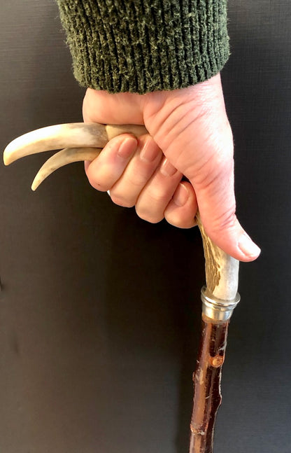 Carved Antler Flamingo Blackthorn Cane By Wendy Yothers