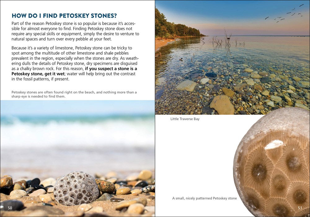 Petoskey Stone Book - How To Find And Identify