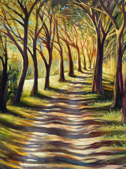 Walk through the woods, sunlight streaming, woods trail, local artist, hanni gallery, harbor springs