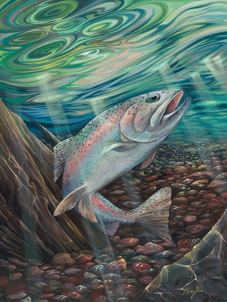 Rainbow trout, print on paper, fishing, reflected sunlight, local artist, hanni gallery, harbor springs