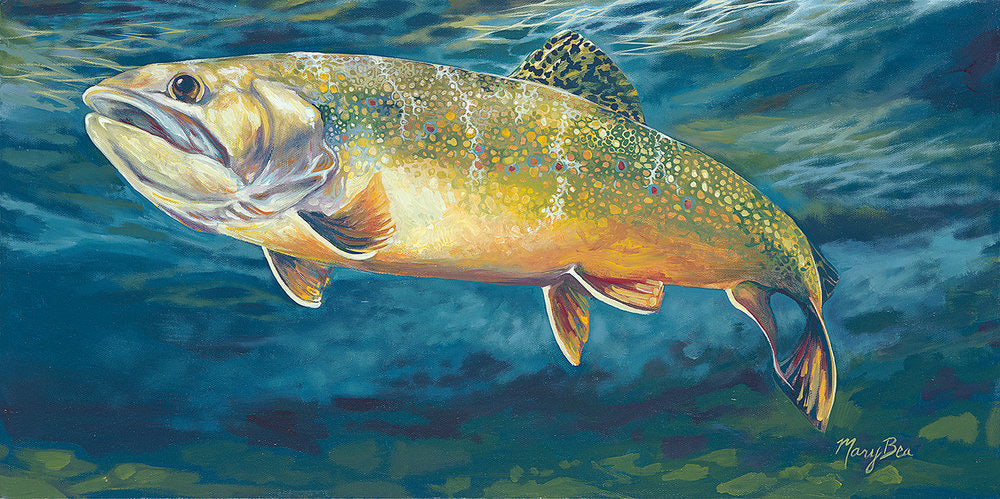 Brook trout, print on paper, archival ink, mary bea art, northern michigan artist, hanni gallery, harbor springs